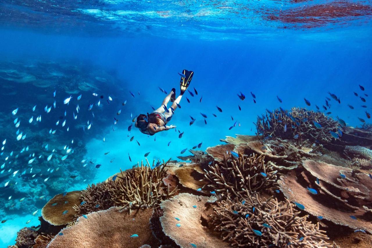 オルフェウス アイランド ロッジ Orpheus Island エクステリア 写真